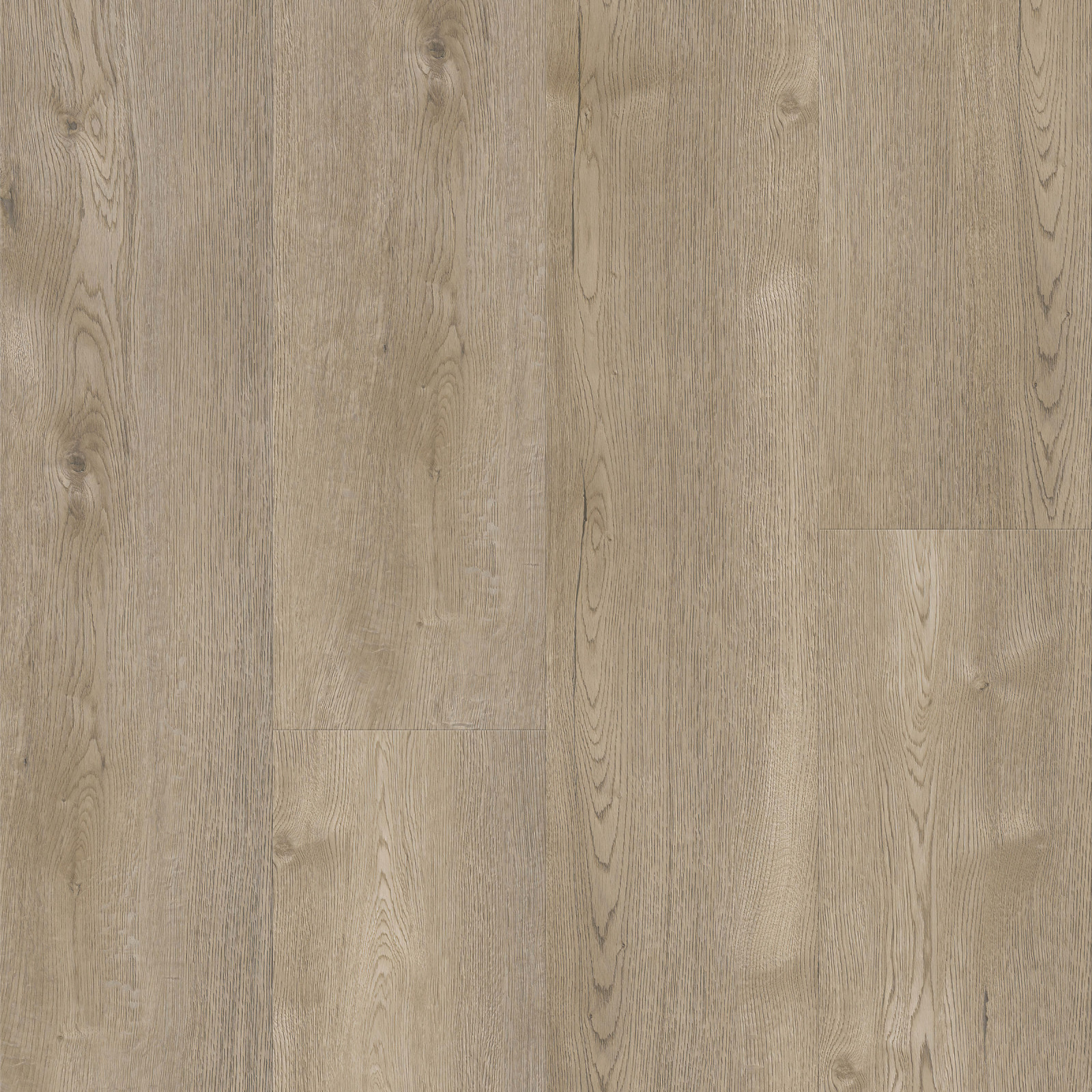 Skimboard Shore Laguna Vinyl Threshold view 3