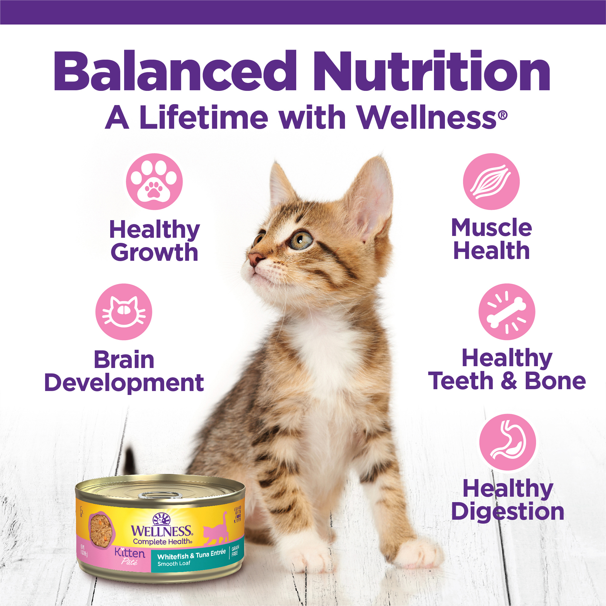 Wellness Complete Health Pate Kitten Variety Pack (Whitefish & Tuna and Chicken)