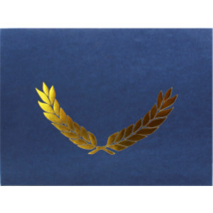 Embossed Certificate Folder, Blue, Pack of 30