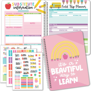 Pink Undated Teacher Planner and Lesson Plan Book
