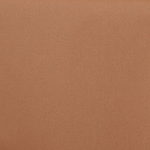 Smooth tan wall â€” fills the frame, flat and unbroken â€” evenly lit interior surface with subtle grain, no visible features or windows.