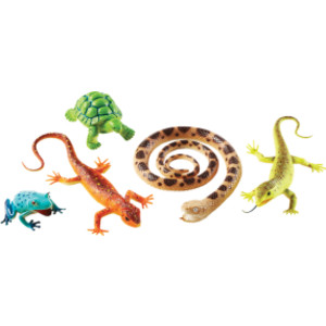 Jumbo Reptiles & Amphibians, Set of 5