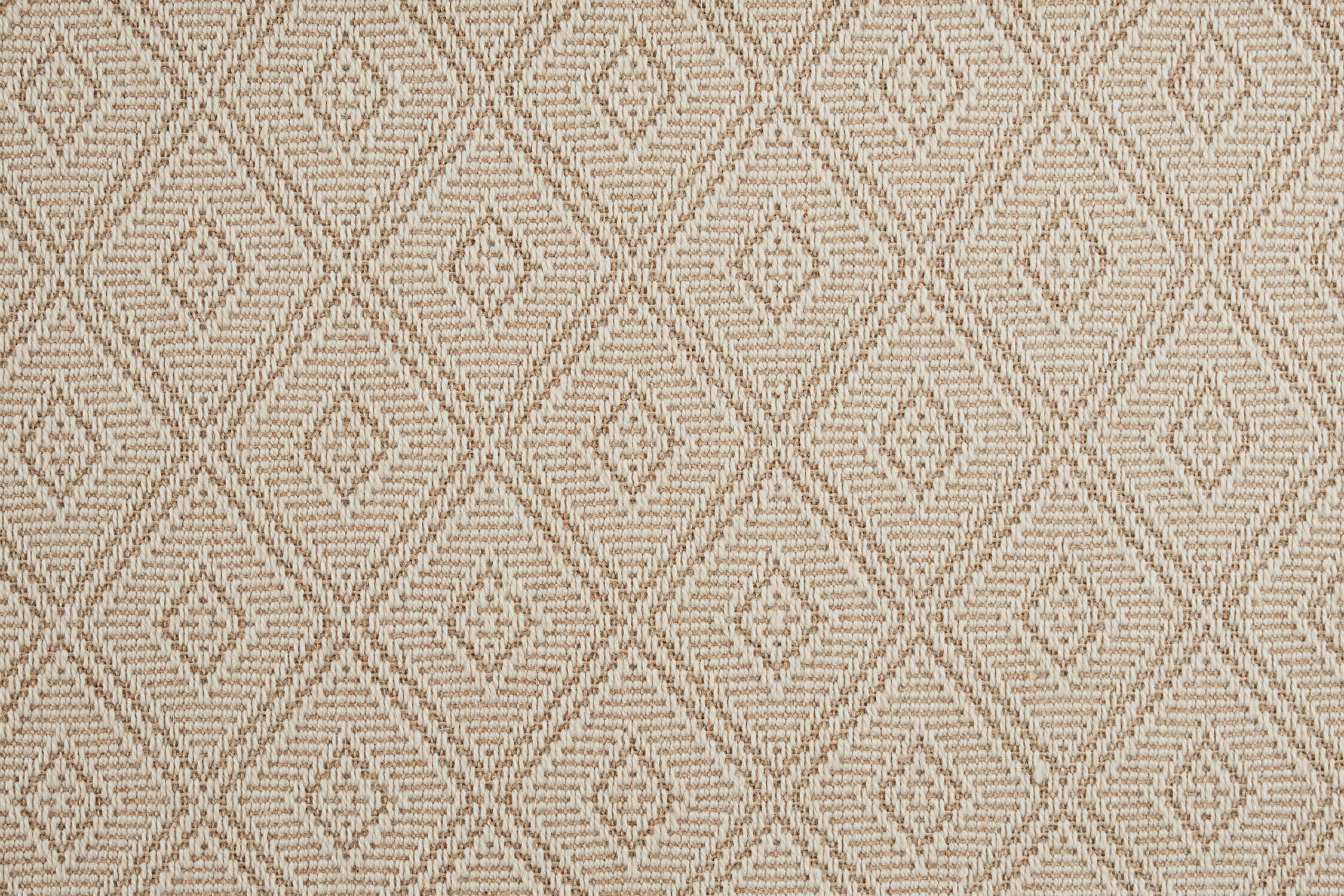 color-rug1