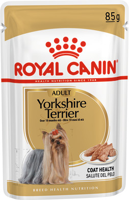 Yorkshire Terrier Adult (in loaf)