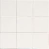 Robert Am Stern Frost Crackle 4×4 Field Tile Crackle