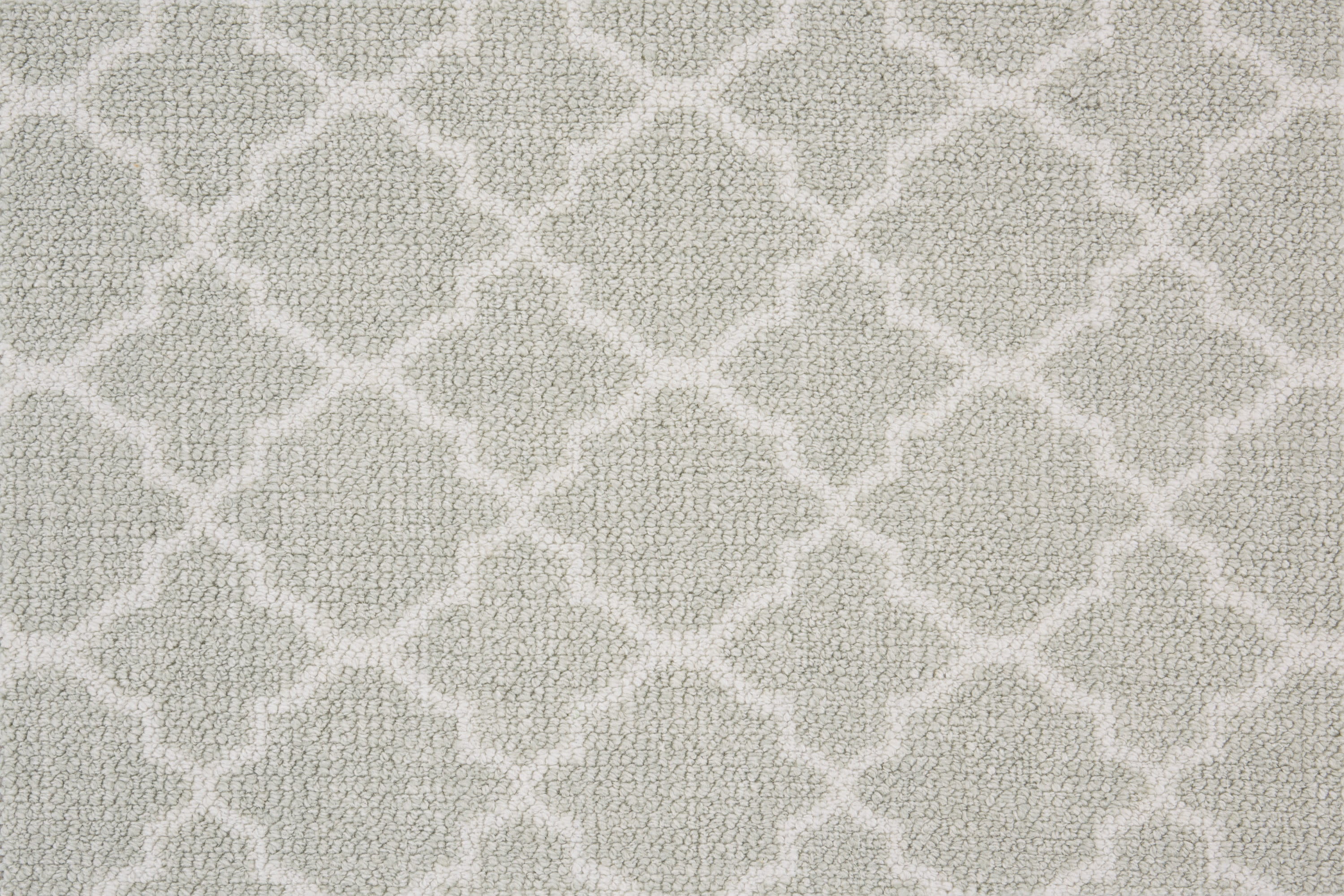 color-rug1