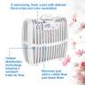 Tork,  Constant Air Freshener Refill, Blossom A3
