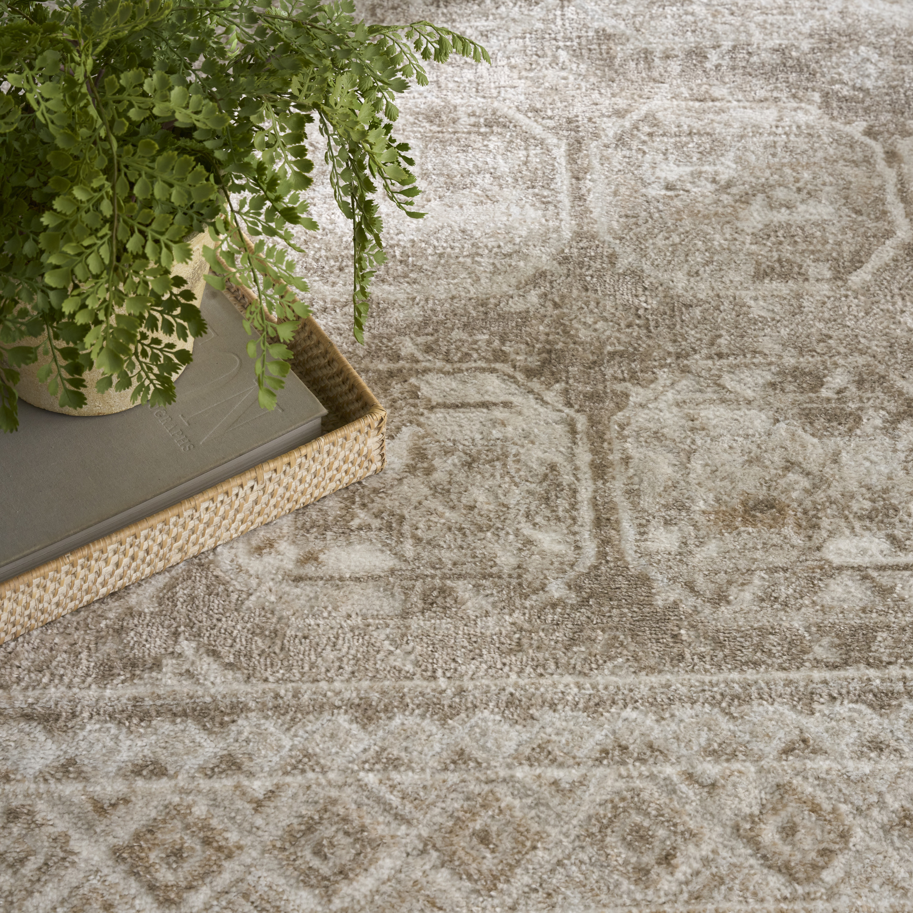 Nourison Dekor 5'3" x 7' Ivory Taupe Vintage Indoor Rug