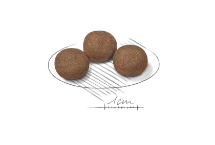 Medium Puppy kibble