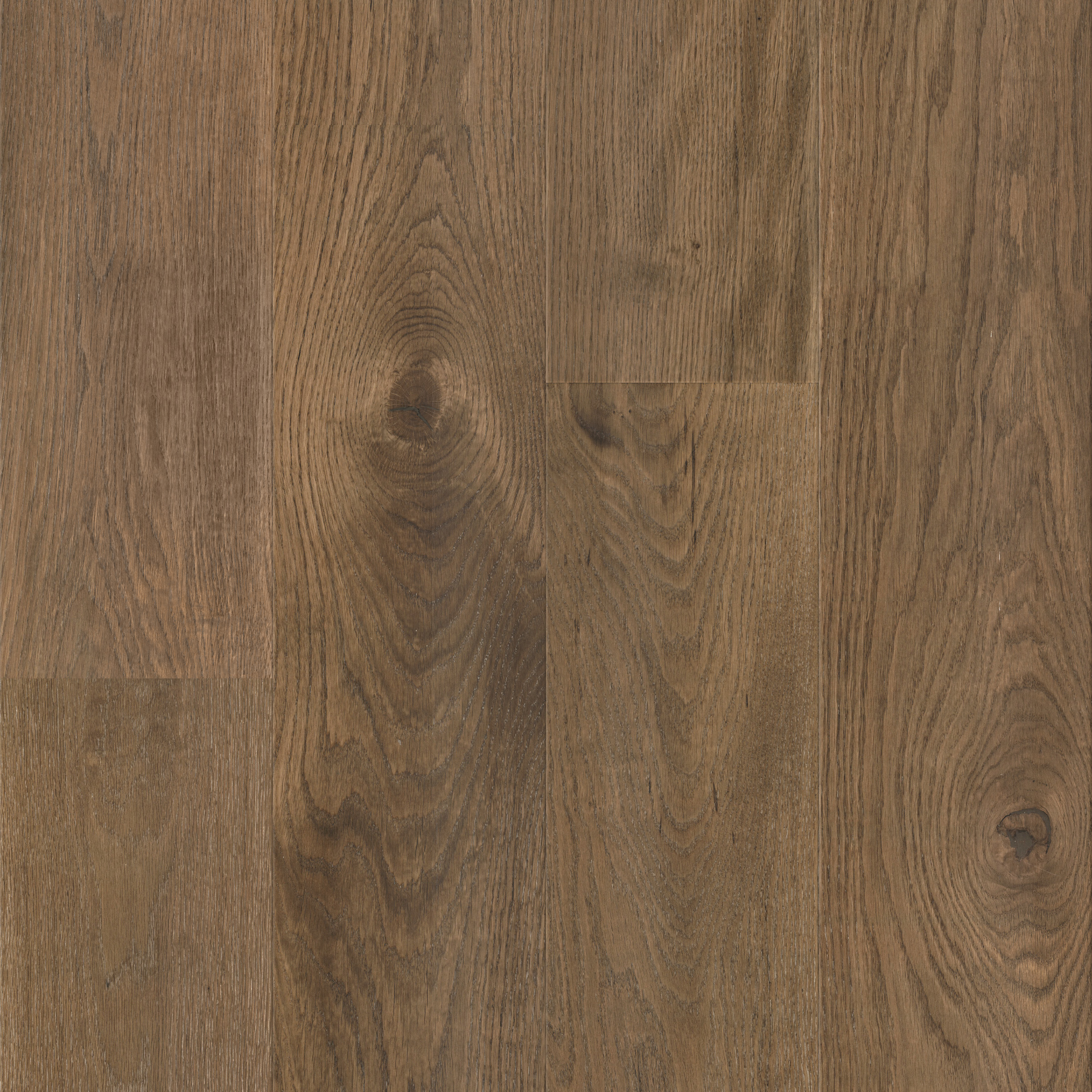 Cava Cove Cali Hardwoods Threshold view 4