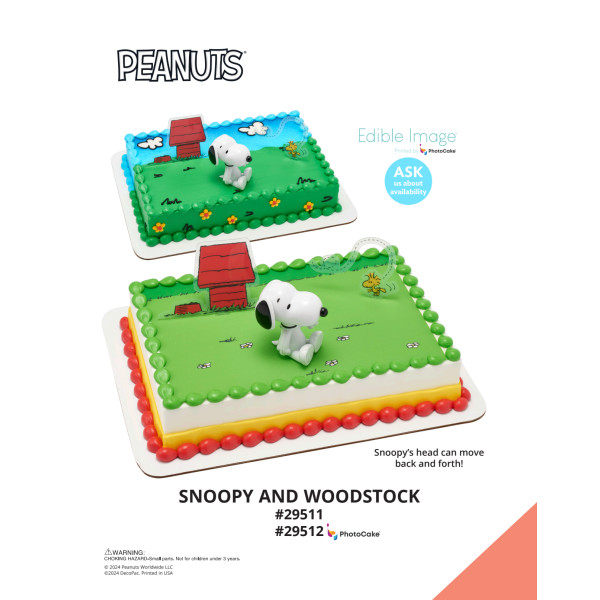 Peanuts® Snoopy® and Woodstock® The Magic of Cakes® PhotoCake® Enhanced Background and Icing Page