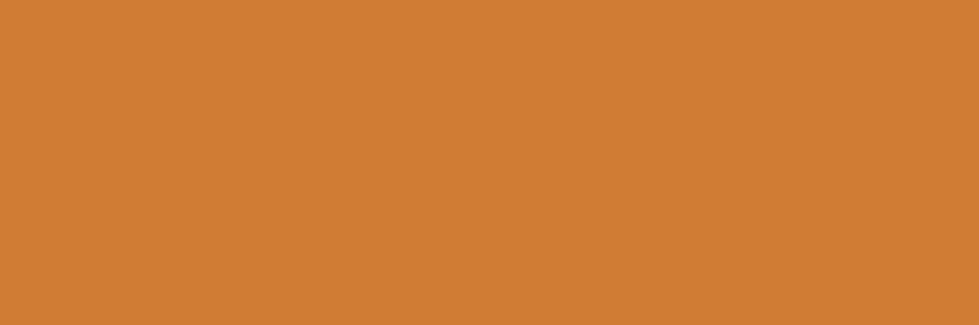 10X30 RAL 0506060 GLOWING ORANGE MATT nR