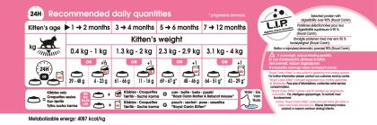 Kitten feeding guide