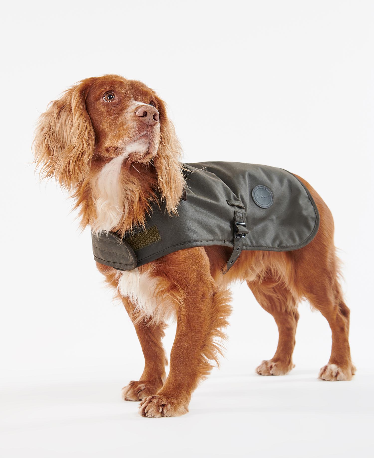 Hundemantel Wachs image number 1
