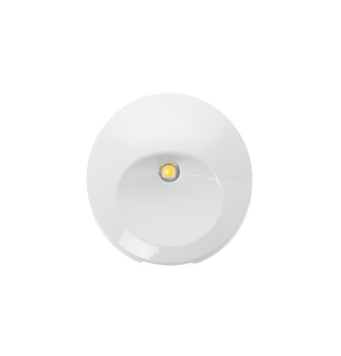 Fresh Food Led White