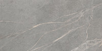 Mondo Silver 12×24 Field Tile Matte Rectified