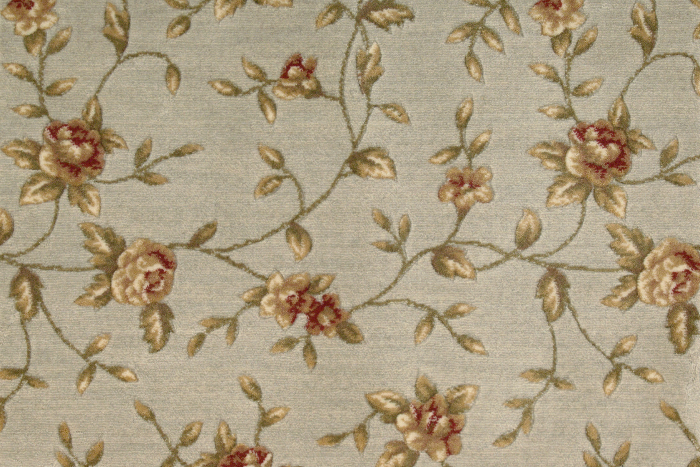 color-rug1