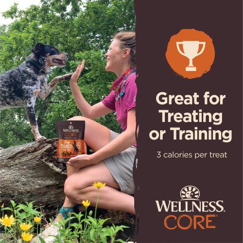 The benifts of Wellness CORE Tiny Trainers Tender Treats Turkey