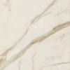 Maggiore Ivory 48×48 Slab Polished Rectified