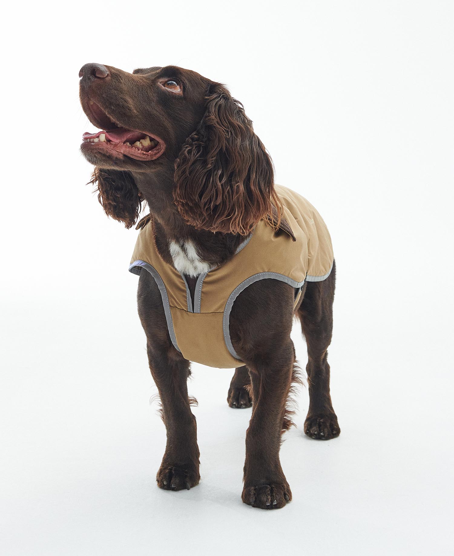 Monmouth Waterproof Dog Coat image number 1