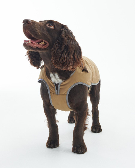 Monmouth Waterproof Dog Coat