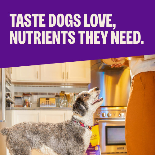The benefits of Wellness Complete Health  Puppy Chicken, Salmon & Oatmeal
