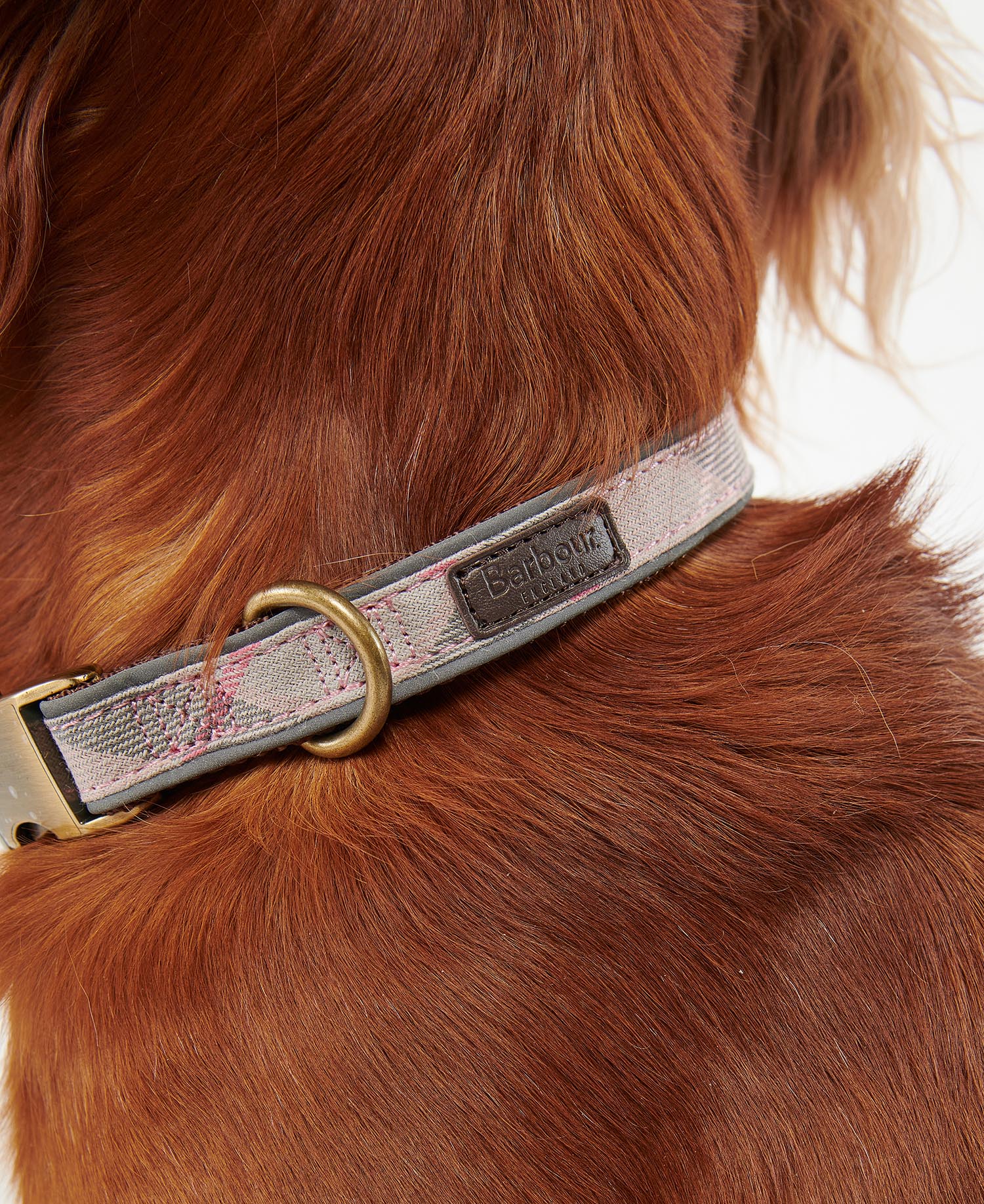 Reflective Tartan Dog Collar image number 2