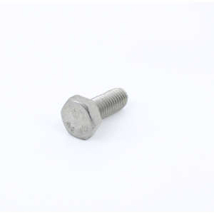 Screw M8X20 Te  Inox Uni 5739 - Din 9