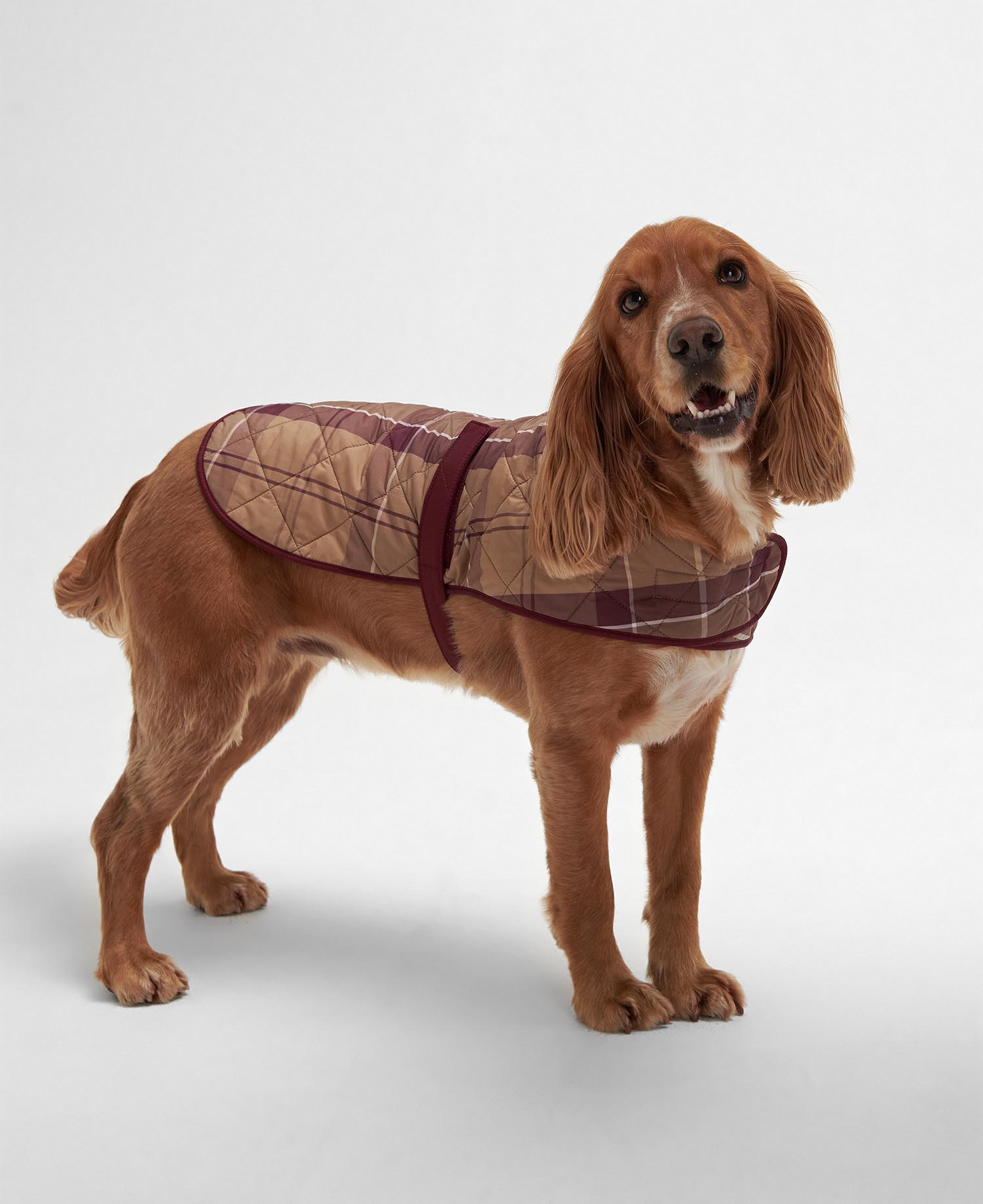 Tartan Dog Coat image number 3