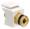 QuickPort® Binding Post Feedthrough Connector Black Stripe Light Almond