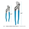 GS-1 2pc Tongue & Groove Pliers Set