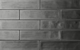 Tongue in Chic Totally In Zinc 2-1/2×10-1/2 Wall Tile Gloss