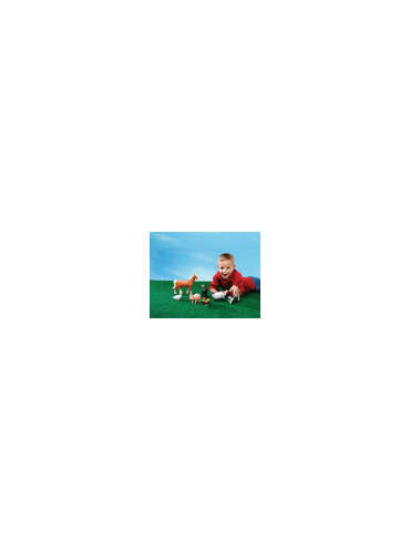 s--_XimZNX3--/owq3zoqbr23rrayhdr9v.jpg