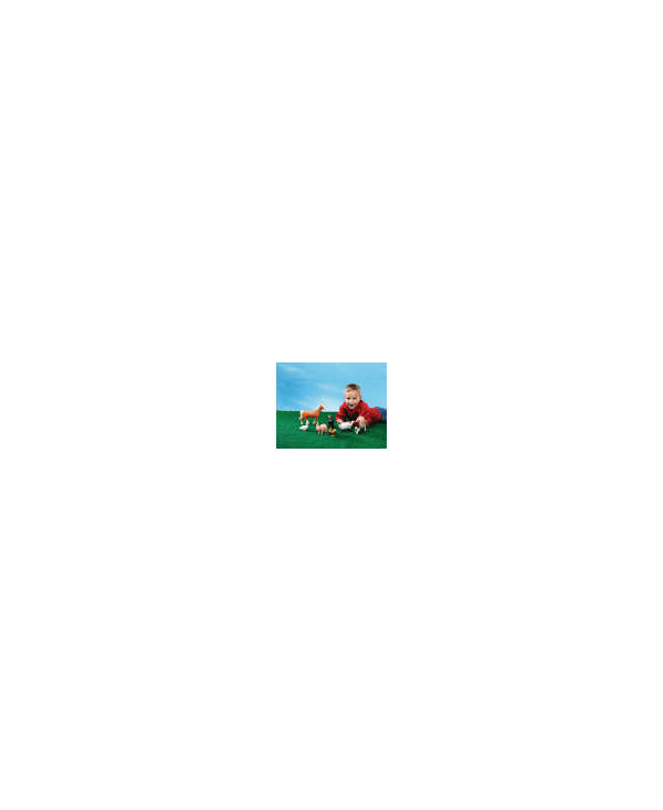 s--_XimZNX3--/owq3zoqbr23rrayhdr9v.jpg
