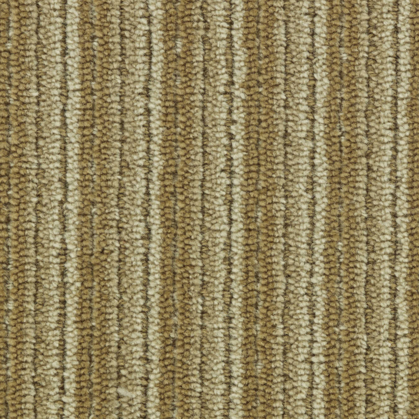 color-rug1