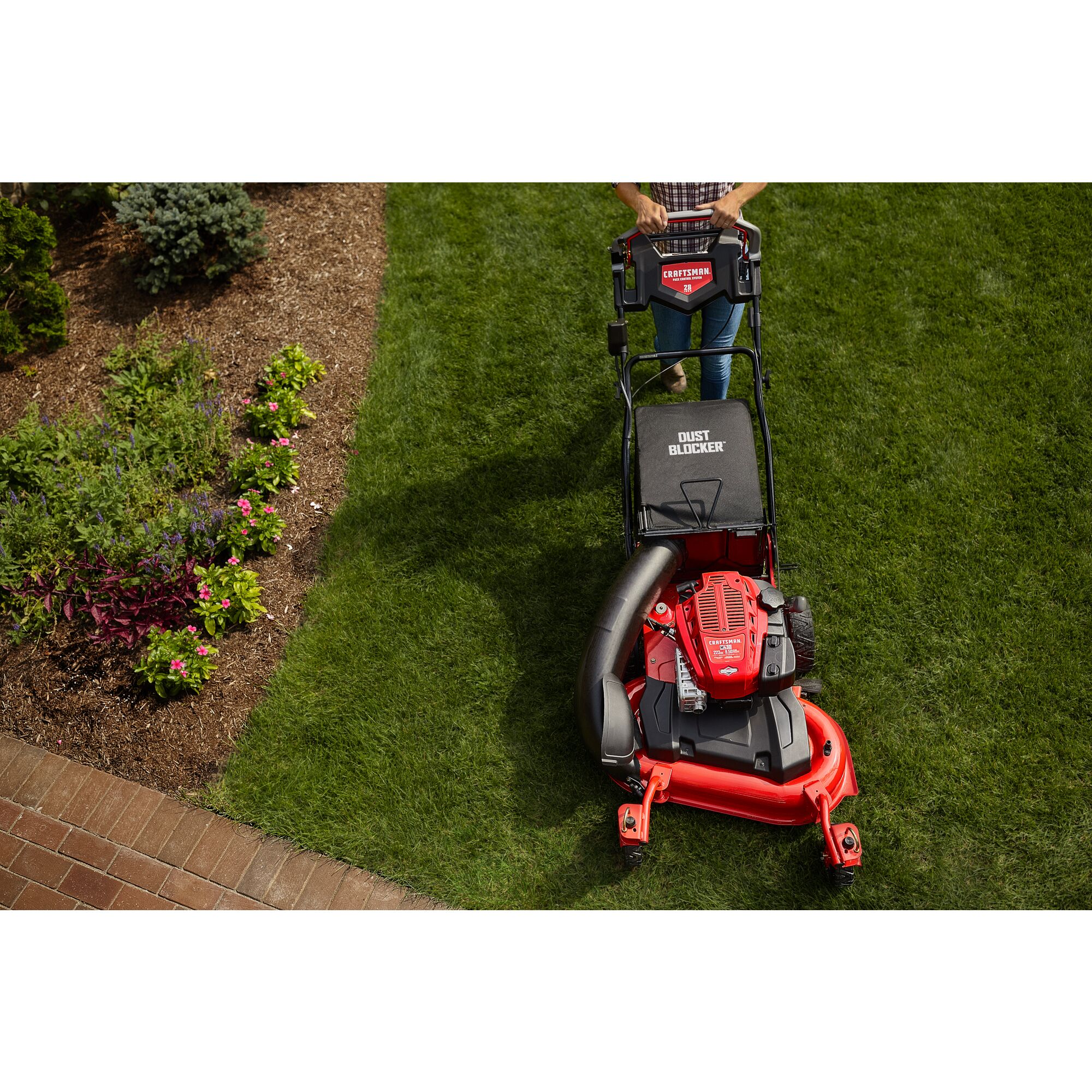 CRAFTSMAN M430 28-In. 223cc Rwd Self-Propelled Mower mowing near flowerbed and sidewalk overhead view with jeans and plaid shirt