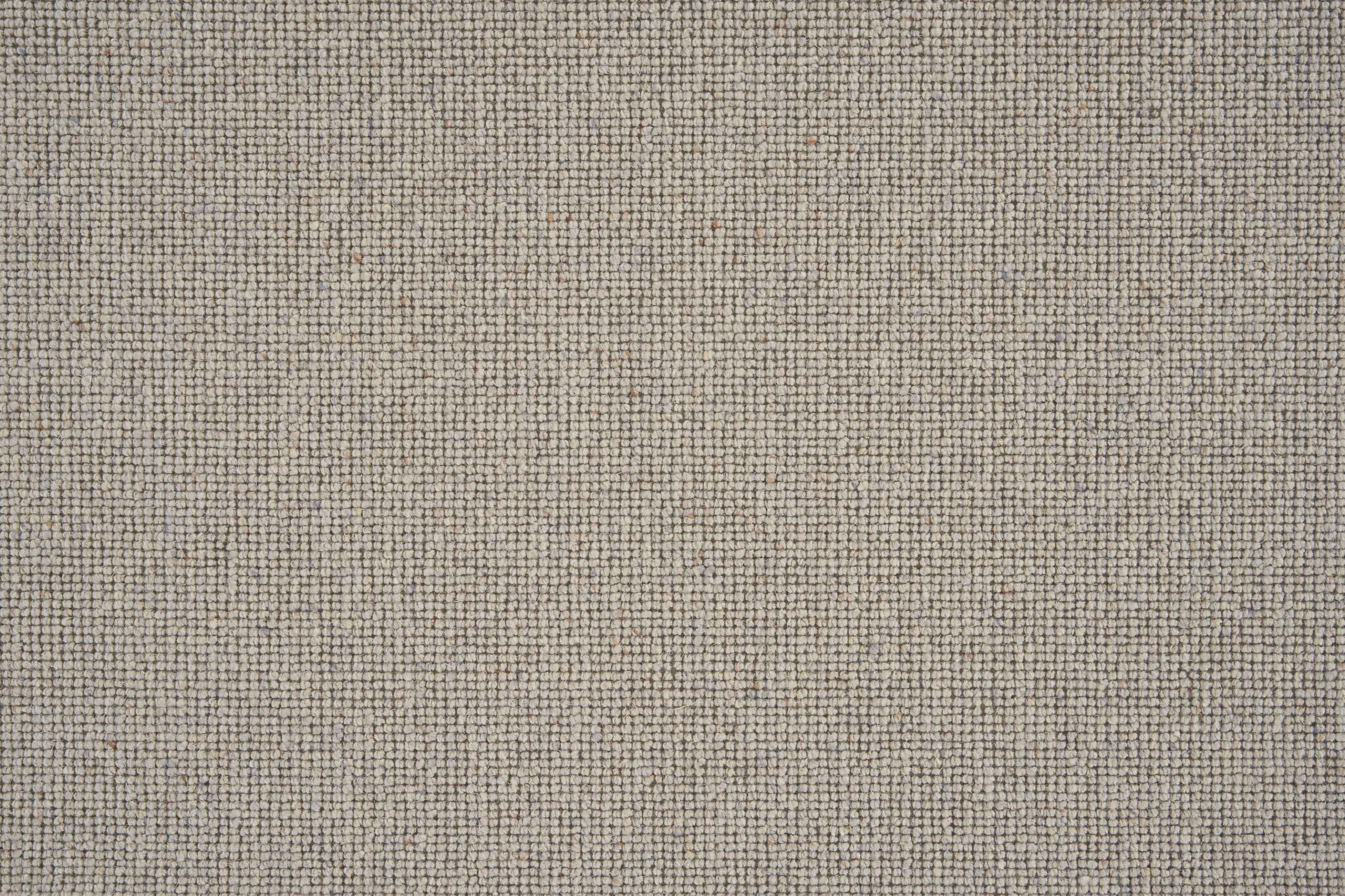 color-rug1