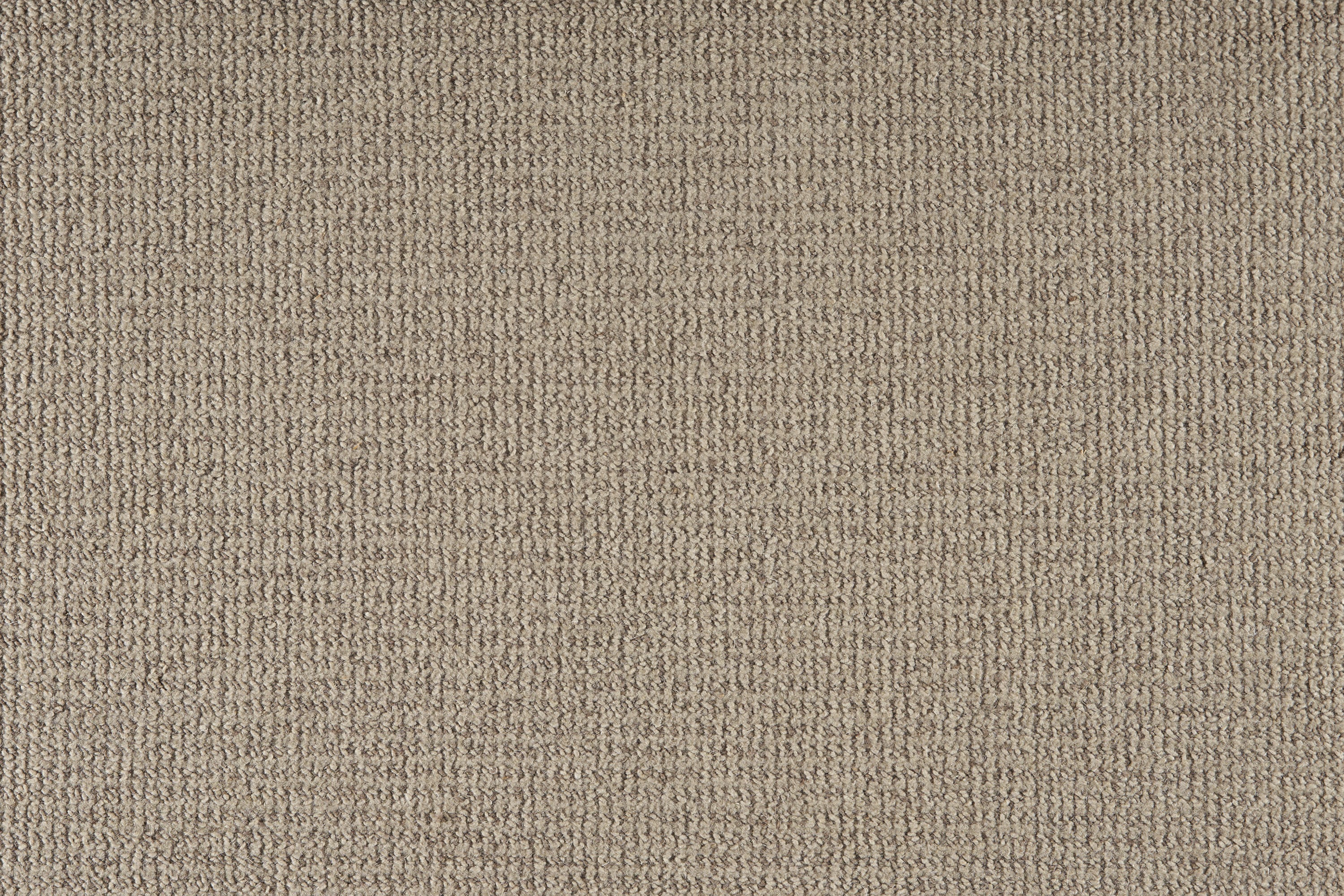 color-rug1