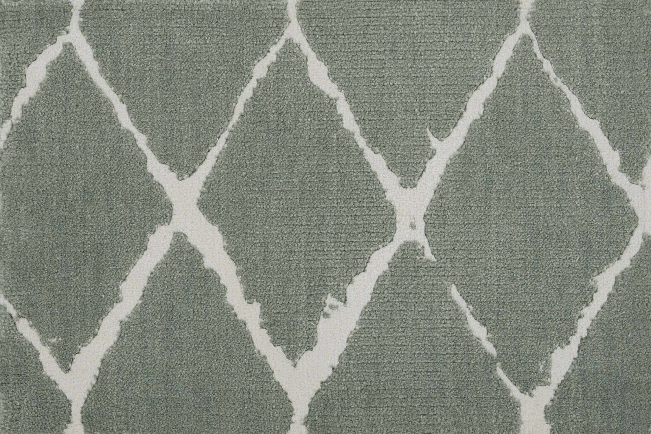 color-rug1