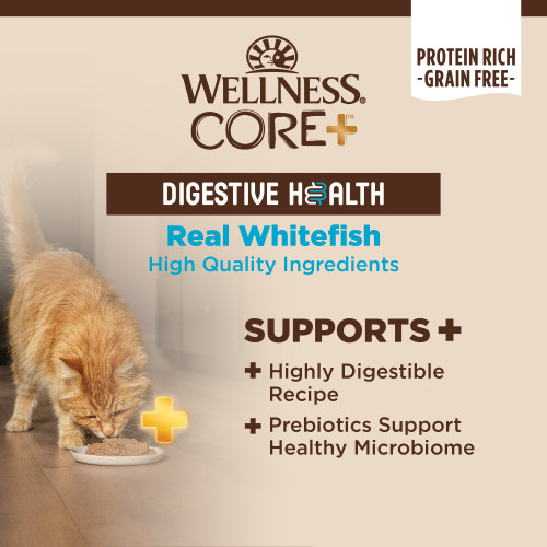 The benifts of Wellness CORE+ Digestive Health Whitefish