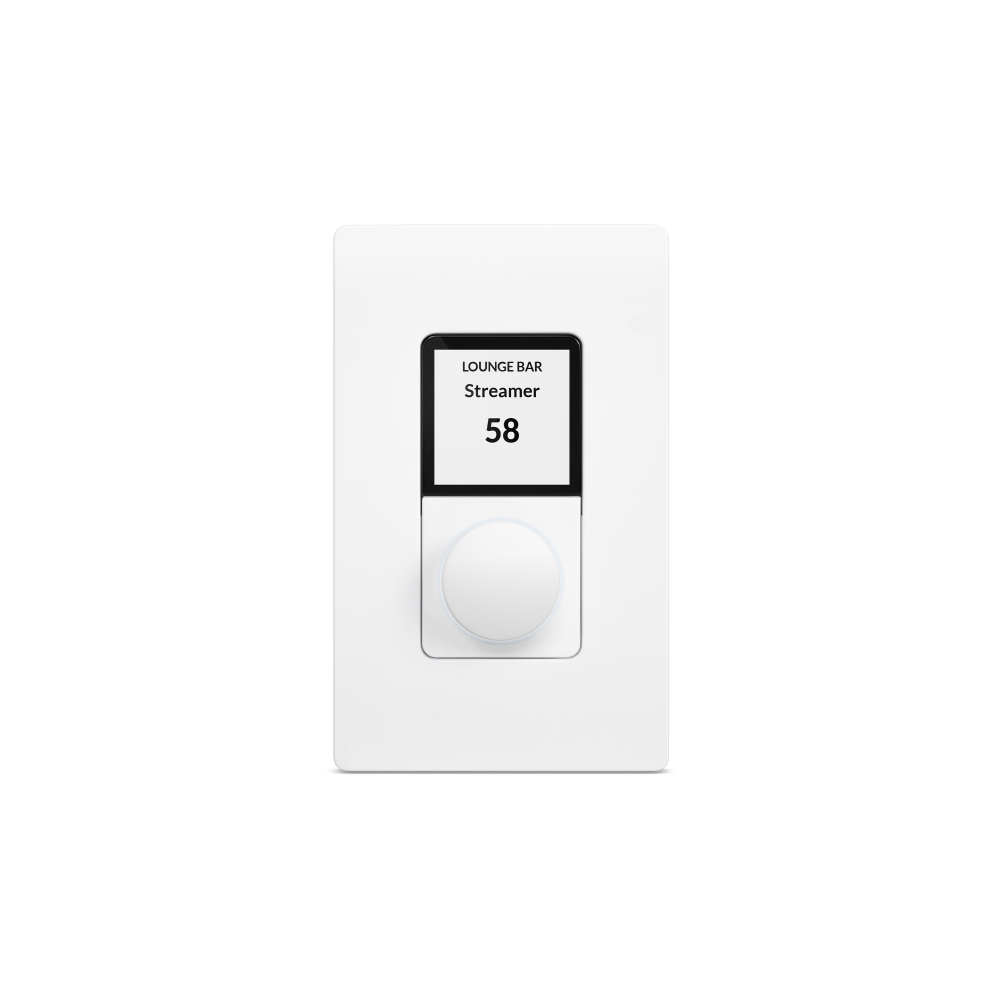 WALL-S1 CONTROLLER (WHITE US)