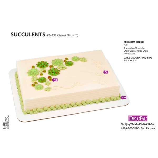 Succulents Cake Decorating Instruction Card