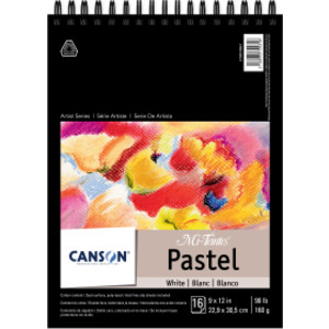 Artist Series Mi-Teintes Pastel Pad, White, Top Wire Binding, 16 Sheet, 9x12 inch, 1 Count
