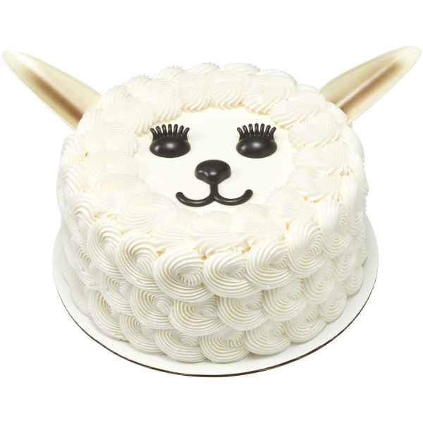 Pet Creations DecoSet®
