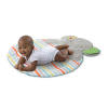 Hug-n-Cuddle Elephant™ Activity Gym