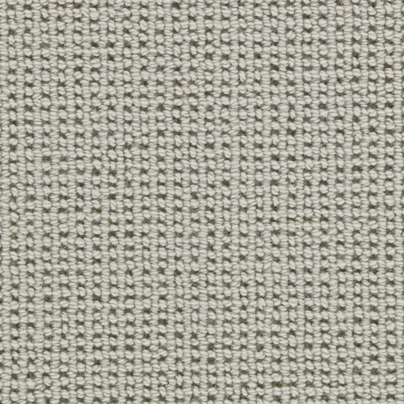 color-rug1