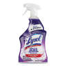 REC78915, Reckitt Benckiser,  Mold and Mildew Remover with Bleach,  28 Fl Oz Bottle