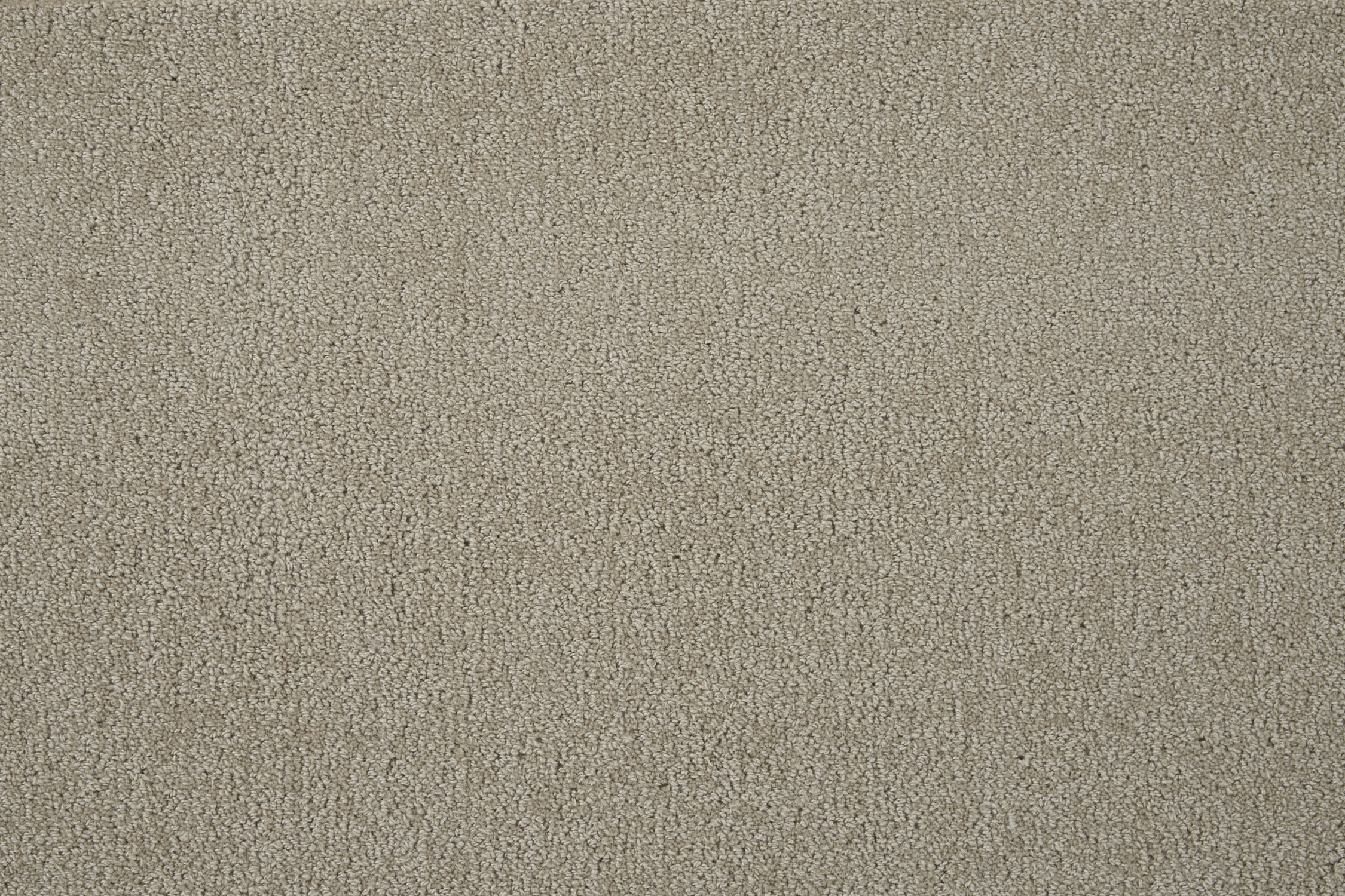 color-rug1