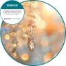 Fresh Products, Oxyfresh Air Freshener Refill, Essence