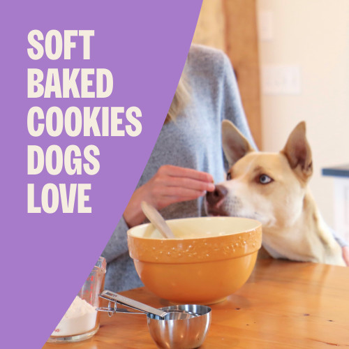 The benefits of Old Mother Hubbard Wholesome Indulgences Bacon, Oats & Maple